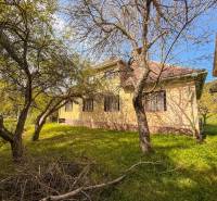 5i RD s garážou, Čierna Lehota, okr. Bánovce n./B. - Rodinný dom v Čiernej Lehote obklopený záhradou s vysokými stromami na slnečnom pozemku.