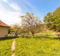 5i RD s garážou, Čierna Lehota, okr. Bánovce n./B. - Záhrada pri rodinnom dome v Čiernej Lehote so stromami a zeleným trávnikom.