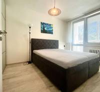 PRENÁJOM- Pekný 3 - izbový byt - Košice Staré mesto - Spálňa s manželskou posteľou, obrazom a stojacou lampou v 3-izbovom byte.