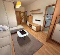 3 izbový byt  balkónom Topoľčany Juh - Obývacia izba v 3-izbovom byte s pohovkou a podlahou s dreveným dekorom.