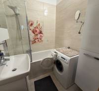 3 izbový byt  balkónom Topoľčany Juh - Kúpeľňa s kvetinovou dekoráciou v 3-izbovom byte, práčka vedľa vane.