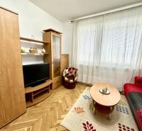GARSONKA NA PRENÁJOM – VOĽNÁ IHNEĎ (sídlisko Východ) - Garsónka s televízorom, červeným gaučom a podlahou s dreveným dekorom.