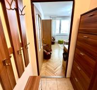 GARSONKA NA PRENÁJOM – VOĽNÁ IHNEĎ (sídlisko Východ) - Garsónka s predsieňou a podlahou s dreveným dekorom, pohľad do hlavnej miestnosti.