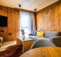 Na predaj krásny apartmám v Štrbe - Obývacia izba s drevenými stenami, sivou pohovkou a podlahou s dreveným dekorom v 2-izbovom byte.