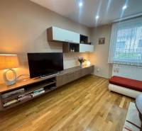 PRENÁJOM - Útulný 1-izbový domček na Hlbokej ulici - Obývacia izba v 1-izbovom byte s TV stolíkom a podlahou s dreveným dekorom.