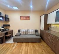 PRENÁJOM - Útulný 1-izbový domček na Hlbokej ulici - 1-izbový byt s podlahou s dreveným dekorom, šedou pohovkou a pracovným stolom.