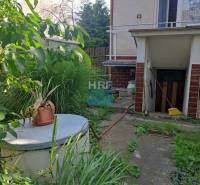 Na predaj rod. dom v obci Radošovce - Vieska, okr. Skalica. - Záhrada rodinného domu na Vieske v Radošovciach s prístreškom a bujnou vegetáciou.