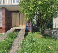 Na predaj rod. dom v obci Radošovce - Vieska, okr. Skalica. - Rodinný dom na ulici Vieska v Radošovciach s trávnikom a stromom pred vchodom.