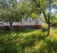 Na predaj rod. dom v obci Radošovce - Vieska, okr. Skalica. - Záhrada pri rodinnom dome na ulici Vieska v Radošovciach. Zelená tráva a stromy.