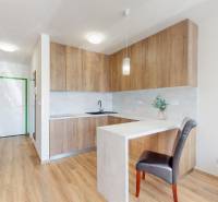 Nájom garsónka, 34 m2 | kryté parkovanie | Odevná, Trenčín - Kuchynský kút v garsónke s dreveným nábytkom a pultom, jednoduchý dizajn interiéru.