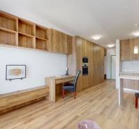 Nájom garsónka, 34 m2 | kryté parkovanie | Odevná, Trenčín - Garsónka s dreveným nábytkom, kuchynskou linkou a pracovným kútom s rastlinou a kreslom.