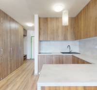 Nájom garsónka, 34 m2 | kryté parkovanie | Odevná, Trenčín - Kuchyňa v garsónke s drevenými skrinkami, čiernym drezom a bielym pultom.