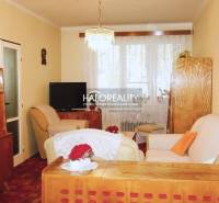 Predaj, trojizbový byt s vlastnou garážou Malacky, C... - Obývačka v 3-izbovom byte, podlaha s dreveným dekorom, drevený nábytok, útulné kreslá.