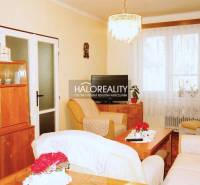 Predaj, trojizbový byt s vlastnou garážou Malacky, C... - Obývacia izba s nábytkom a dekoráciami v 3-izbovom byte, podlaha s dreveným dekorom.