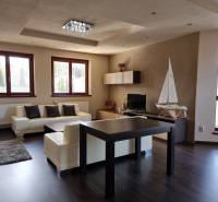 PREDAJ - EXKLUZÍVNA VILA - NITRA - Obývačka v rodinnom dome s krbom, plachetnicou a minimalistickým nábytkom.