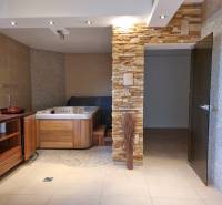 PREDAJ - EXKLUZÍVNA VILA - NITRA - Kúpeľňa v rodinnom dome s vírivkou, dreveným nábytkom a kamenným obkladom.