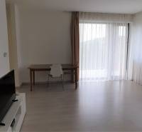 PRENÁJOM - Byt s krásnym výhľadom - Nitra, Dolnohorská - Svetlá obývačka v 2-izbovom byte s pohovkou, stolom a televízorom na podlahe s dreveným dekorom.