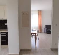 PRENÁJOM - Byt s krásnym výhľadom - Nitra, Dolnohorská - Interiér 2-izbového bytu s kuchynskou linkou a obývačkou s podlahou s dreveným dekorom.