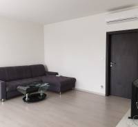 PRENÁJOM - Byt s krásnym výhľadom - Nitra, Dolnohorská - Obývacia izba v 2-izbovom byte so sivou sedačkou a podlahou s dreveným dekorom.