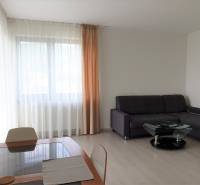 PRENÁJOM - Byt s krásnym výhľadom - Nitra, Dolnohorská - Obývačka v 2-izbovom byte s rozkladacou pohovkou a presvetlenými závesmi, podlaha s dreveným dekorom.