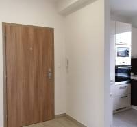 PRENÁJOM - Byt s krásnym výhľadom - Nitra, Dolnohorská - Vstupná časť 2-izbového bytu s dlažbou a drevenými dverami.