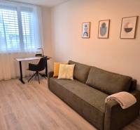 PRENÁJOM - 3 izbový byt Nitra – RIVIERA NITRA, Piesková ulica - Izba v 3-izbovom byte s gaučom, stolíkom, stoličkou a modernými obrazmi na stene.