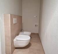 PREDAJ - 3 izbový dom v centre mesta, Nitra - Toaleta a bidet v rodinnom dome s béžovým obkladom.