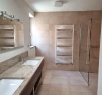 PREDAJ - 3 izbový dom v centre mesta, Nitra - Kúpeľňa v rodinnom dome s veľkým zrkadlom, dvomi umývadlami a sprchou.