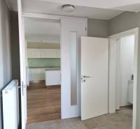 PREDAJ - 3 izbový dom v centre mesta, Nitra - Interiér rodinného domu s bielymi dverami a podlahou s dreveným dekorom.