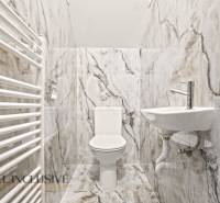 NA PREDAJ 5+2 IZBOVÝ RD PRI KÚPALISKU, DUNAJSKÁ STREDA - Toaleta a umývadlo v rodinnom dome obložené sivými mramorovými obkladmi.