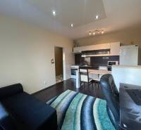 MH279-Na predaj 1 izbový byt v oblúbenej lokalite Komárna! - Interiér 1-izbového bytu s kuchynským kútom a podlahou s dreveným dekorom.