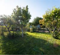 Na predaj rodinný dom s rozľahlým pozemkom 1788m2 MODRA - Záhrada a stromy pri rodinnom dome na Podhorskej ulici v Modre.