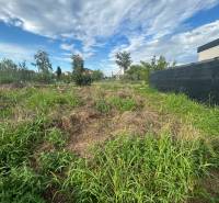 Pozemok vhodný na radovú výstavbu Chorvátsky Grob 1.044m2 - Pozemky - bývanie v Chorvátskom Grobe, Pod vinicami, s výhľadom na zeleň a oblohu.