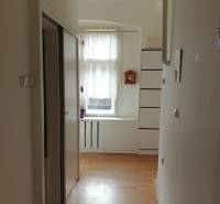 Novinka: Praktický byt v širšom centre. Mestská ul. Províziu neplatíte - Chodba 2-izbového bytu s podlahou s dreveným dekorom, vstavanou skriňou a oknom s kvetinou.