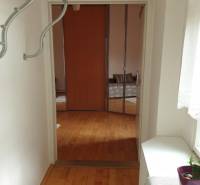 Novinka: Praktický byt v širšom centre. Mestská ul. Províziu neplatíte - Úzka chodba s vešiakom, podlaha s dreveným dekorom, 2-izbový byt, rastlina na parapete.