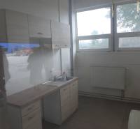 Sklad na prenájom o celkovej ploche 1015 m2 - Kuchynská časť so skrinkami, umývadlom a podlahou s dreveným dekorom v prostredí skladov a hál.