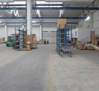 Sklad na prenájom o celkovej ploche 1015 m2 - Priestor skladu s regálmi a nákladmi, Sklady a haly.