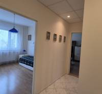 3 IZBOVÝ BYT, OVRUČSKÁ, KOŠICE - SÍDL. DARGOVSKÝCH HRDINOV - Chodba vedúca do spálne v 3-izbovom byte s podlahou s dreveným dekorom.