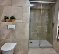 PRIESTRANNÝ 1-IZB. BYT S LOGGIOU V IKONICKOM PROJEKTE ZWIRN III - Kúpeľňa v 1-izbovom byte s toaletou, sprchovým kútom a živými rastlinami v košíkoch.