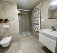 PRIESTRANNÝ 1-IZB. BYT S LOGGIOU V IKONICKOM PROJEKTE ZWIRN III - Kúpeľňa v 1-izbovom byte s toaletou, sprchovým kútom a moderným umývadlom.