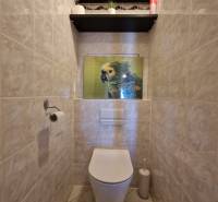 PRENÁJOM zariadený 3-izb byt, Pribišova, Bratislava - Toaleta s dlaždicovými stenami, obrazom papagája a policami v 3-izbovom byte.