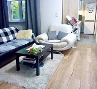 PRENÁJOM - 1,5 izbový byt Košice - Staré mesto - Obývacia izba v 1-izbovom byte s podlahou s dreveným dekorom a pohodlným sedením.