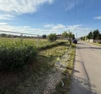 ViNi real - Exkluzívny stavebný pozemok – Miloslavov, 4 205 m² - Cesta v Miloslavove s pozemkami na bývanie a priľahlými zelenými plochami.