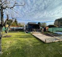  MH280- Na predaj krásna záhrada s chatkou v Komárne! - Záhrada pri chate na Novej osade v Komárne so stromom a trávnikom.