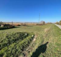  MH280- Na predaj krásna záhrada s chatkou v Komárne! - Krajina v okolí chaty na ulici Nová osada v Komárne s poľom a cestou.