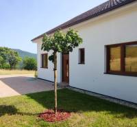 Predaj novostavba rodinného domu   Nová Baňa - Rodinný dom v Novej Bani s trávnikom, stromom a dlažbou, obklopený prírodou.