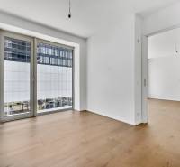 PREDAJ - LIGET Nový 2 izbový apartmán pri Sade Janka Kráľa, Petržalka - Izba s drevenou podlahou a veľkým oknom v 2-izbovom byte.