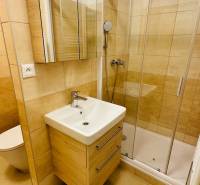 Na prenájom 1 i byt 47 m2 v Partizánskom na sídlisku Luhy 2 x balkón - Kúpeľňa s umývadlom, sprchovým kútom a dlažbou v 1-izbovom byte.