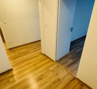 Na prenájom 1 i byt 47 m2 v Partizánskom na sídlisku Luhy 2 x balkón - Interiér s bielymi stenami a podlahou s dreveným dekorom v 1-izbovom byte.