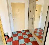 Na predaj 1 i VM byt 47 m2 – 2 x balkón - Partizánske – Luhy - Vstupná hala v 1-izbovom byte s farebnou dlážkou a zrkadlom na stene.